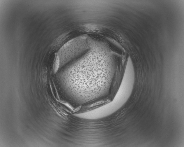 X0000080200413200612302343