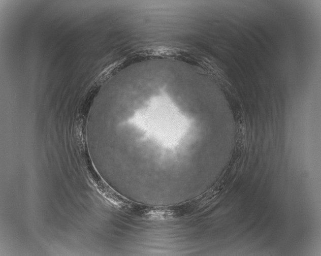 X0000080200415200612302343