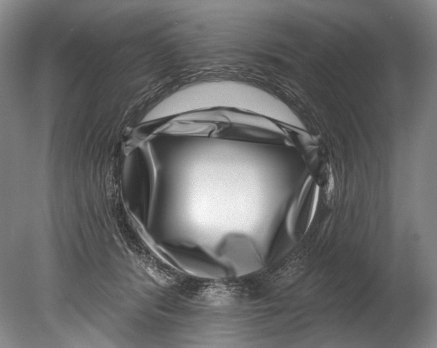 X0000080200416200612302343