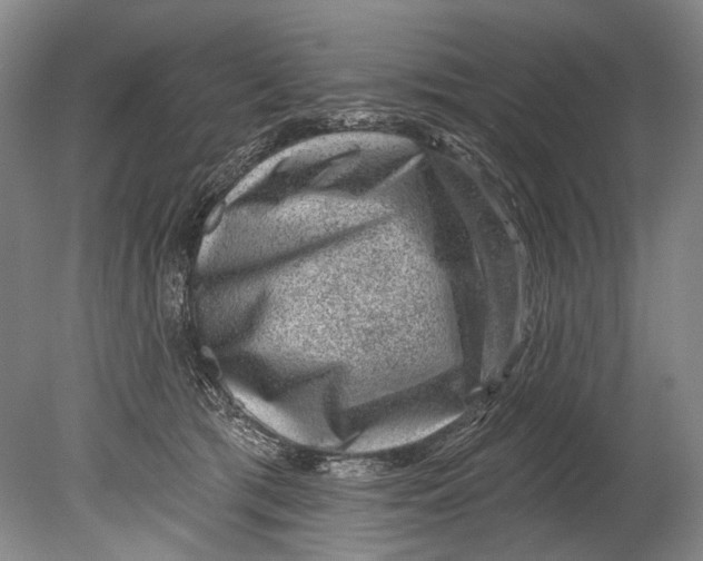 X0000080200417200612302343