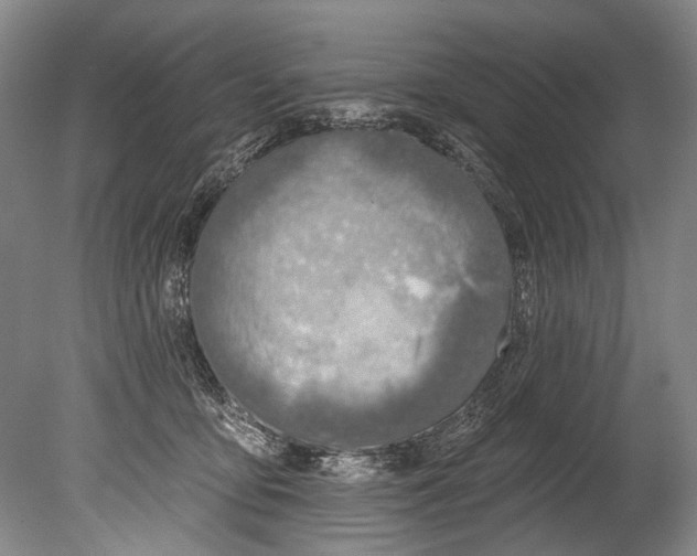 X0000080200419200612302343