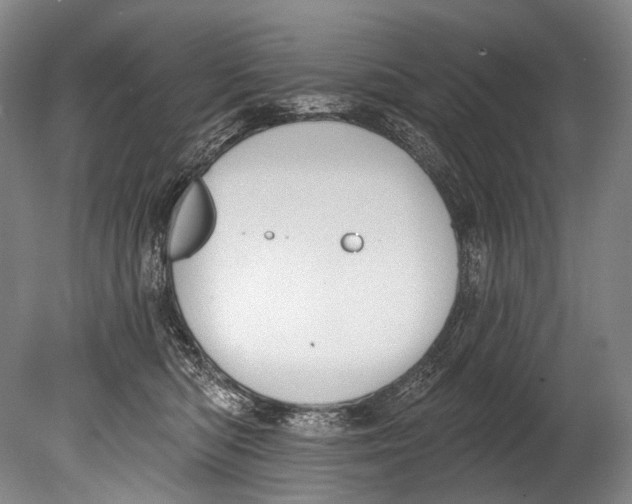 X0000080200422200612302343