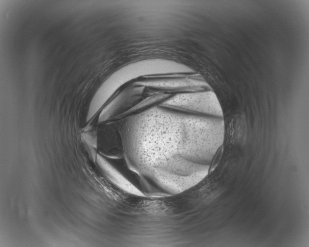 X0000080200424200612302342