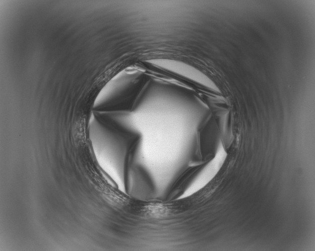 X0000080200425200612302342