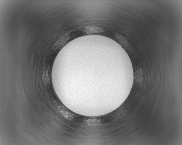 X0000080200426200612302342