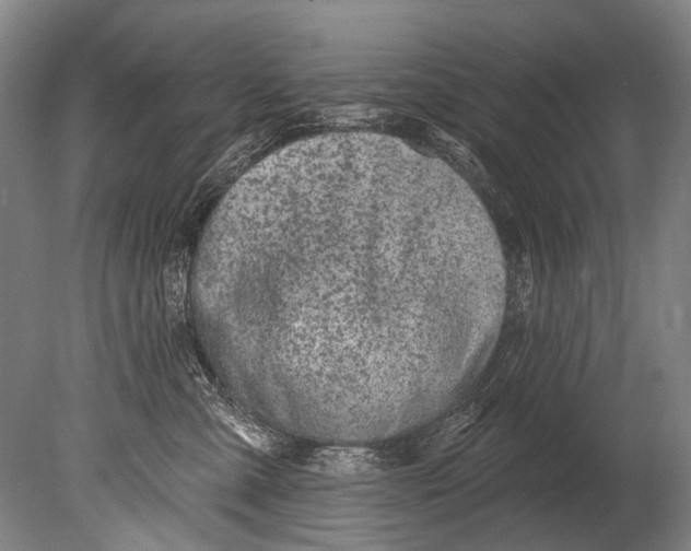 X0000080200427200612302342