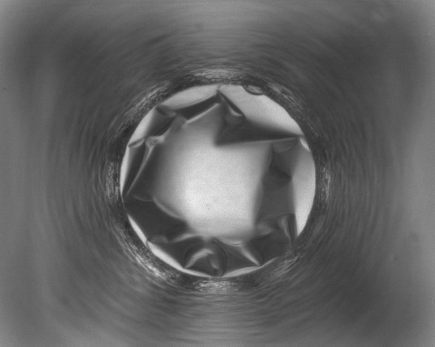 X0000080200428200612302342