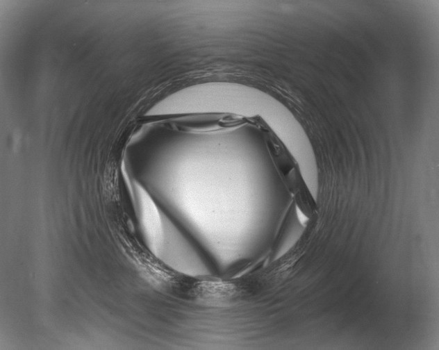 X0000080200429200612302342