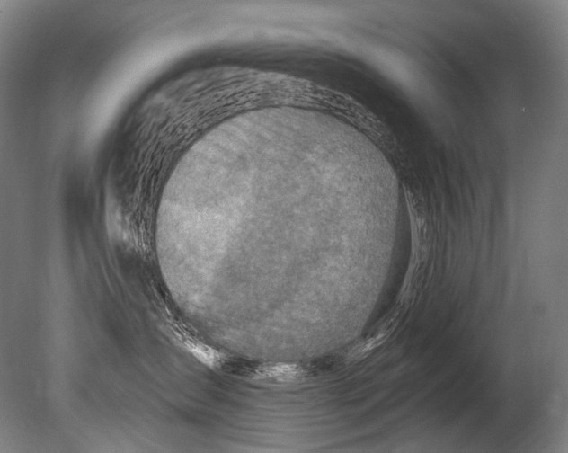 X0000080200431200612302342