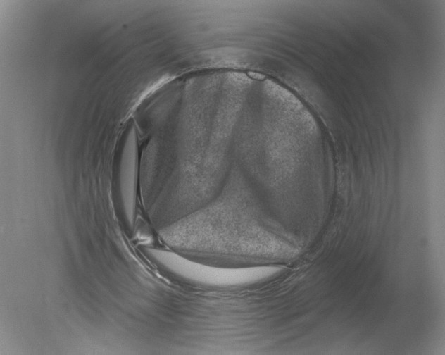 X0000080200434200612302342