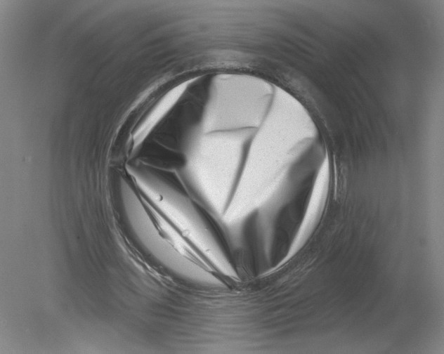 X0000080200435200612302342