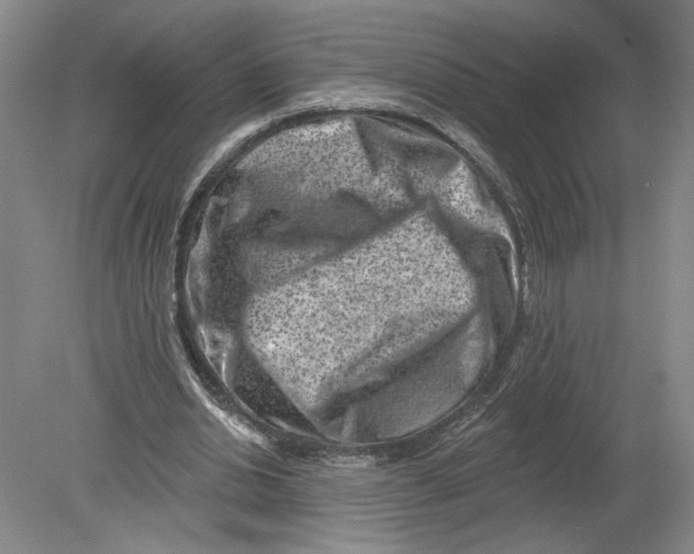 X0000080200438200612302342