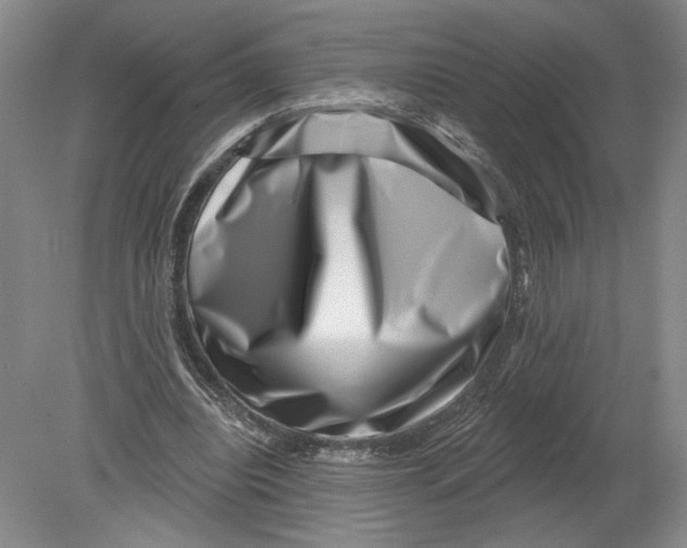 X0000080200440200612302342