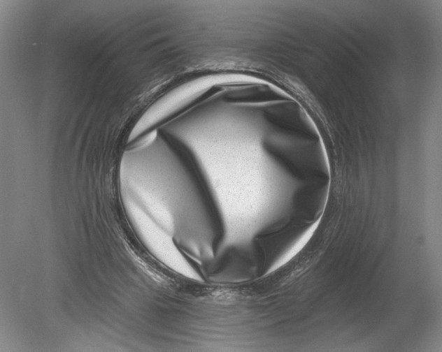 X0000080200441200612302342