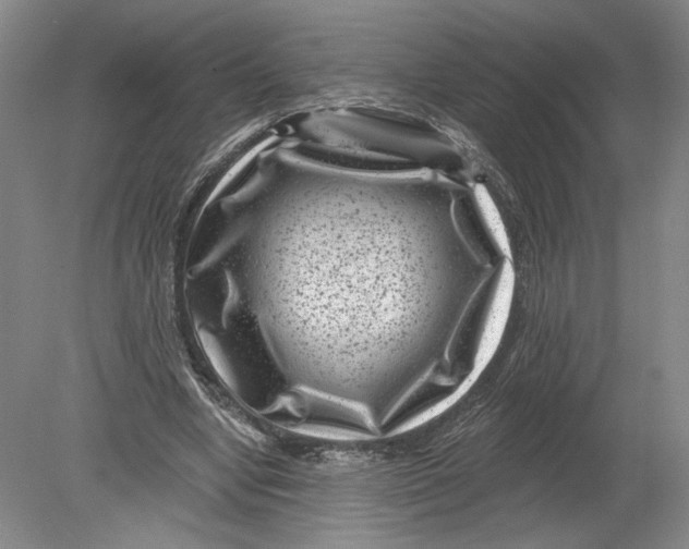 X0000080200442200612302342