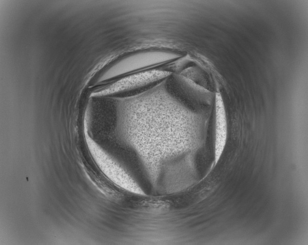 X0000080200443200612302342