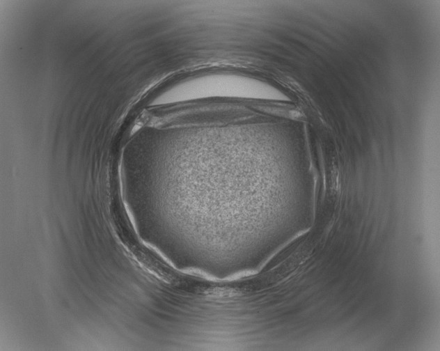 X0000080200444200612302342