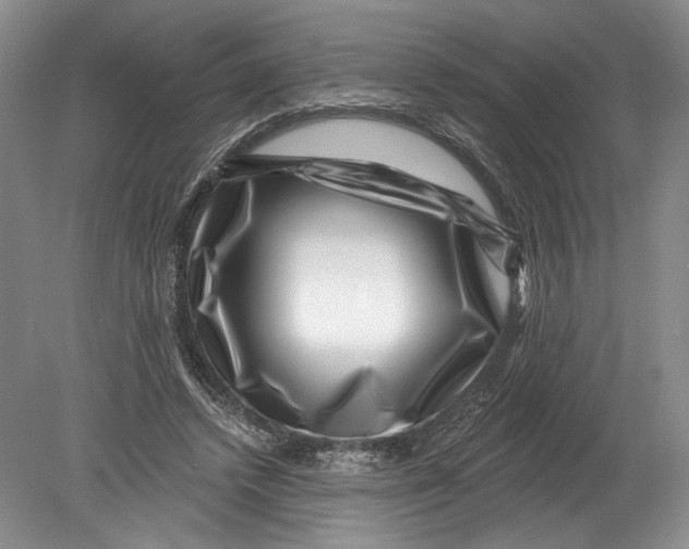 X0000080200448200612302342