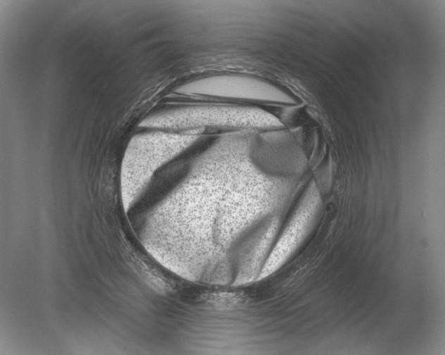 X0000080200449200612302342