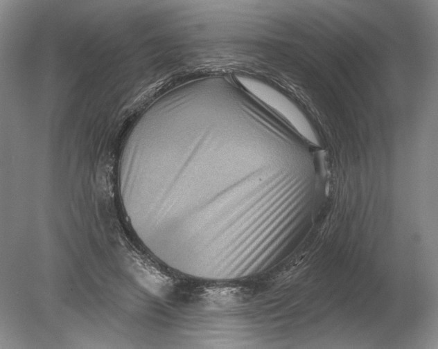 X0000080200450200612302342