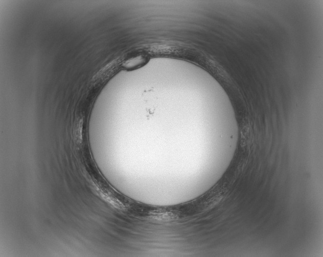 X0000080200454200612302342