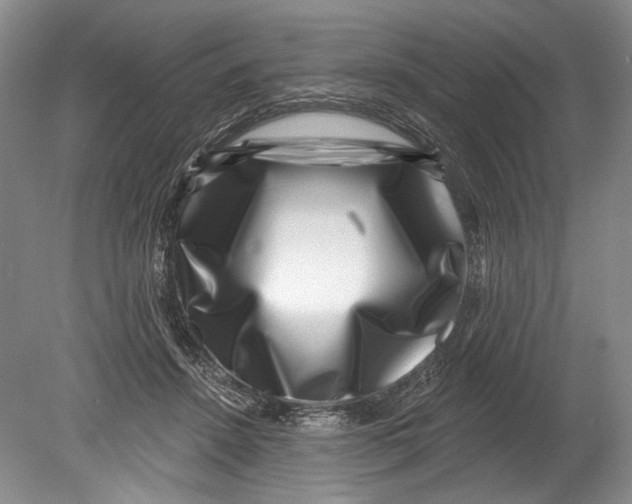 X0000080200456200612302342