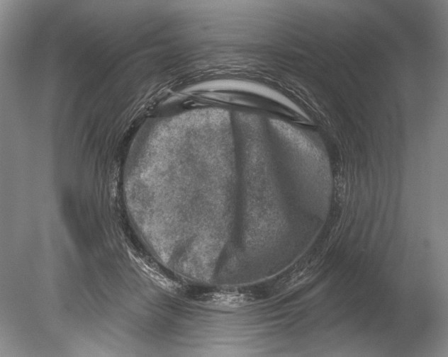 X0000080200458200612302342