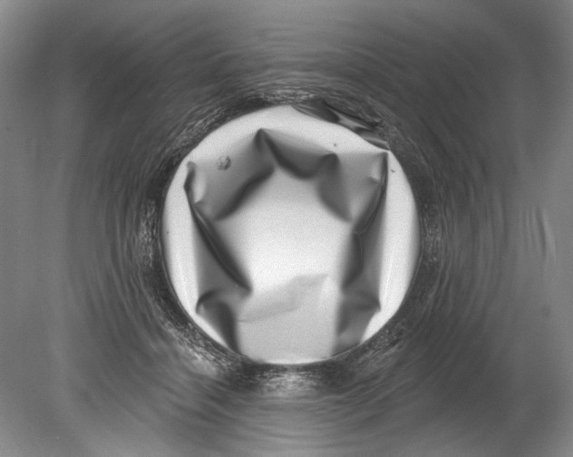 X0000080200460200612302342