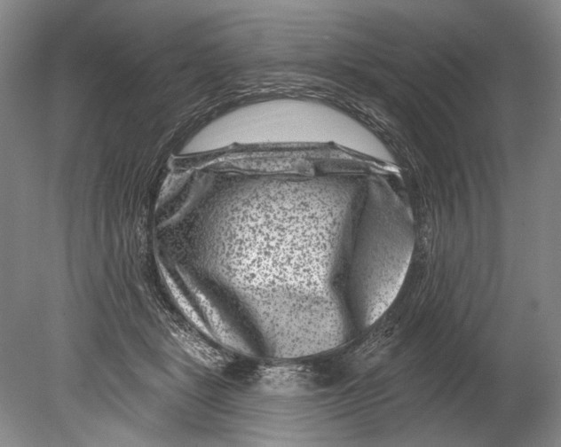 X0000080200461200612302342