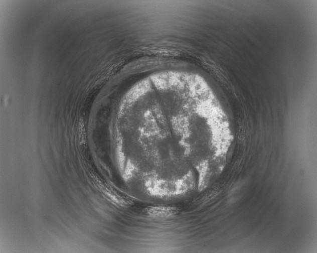 X0000080200465200612302342