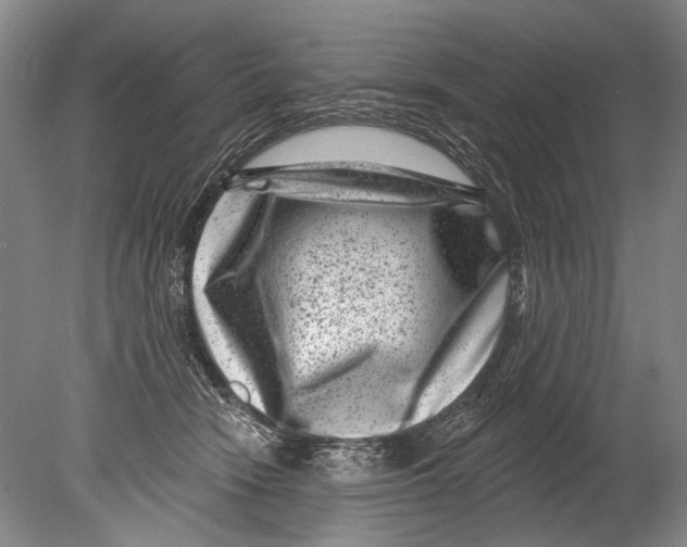 X0000080200466200612302342