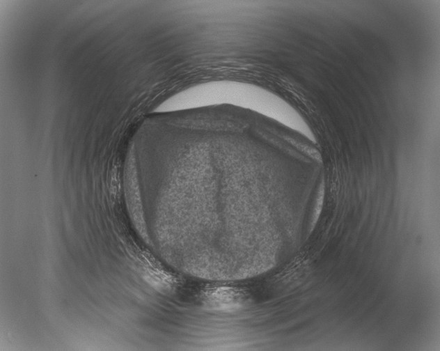 X0000080200467200612302342