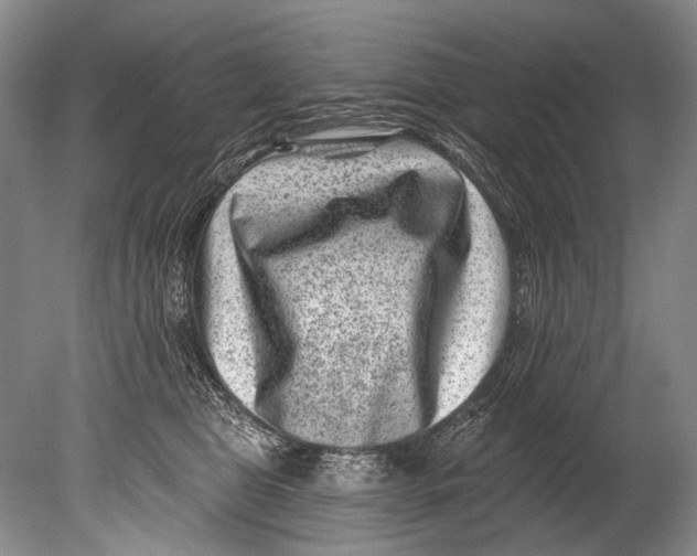 X0000080200469200612302342