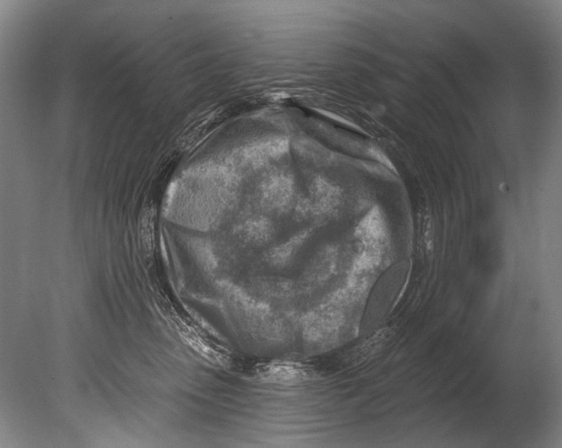 X0000080200475200612302342