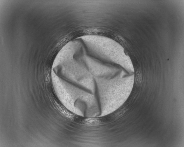 X0000080200477200612302342