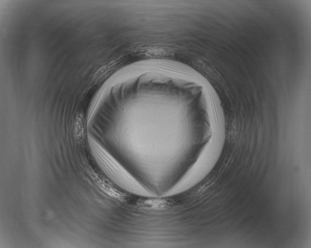 X0000080200478200612302342