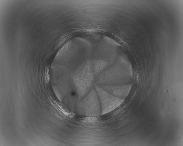 X0000080200479200612302342