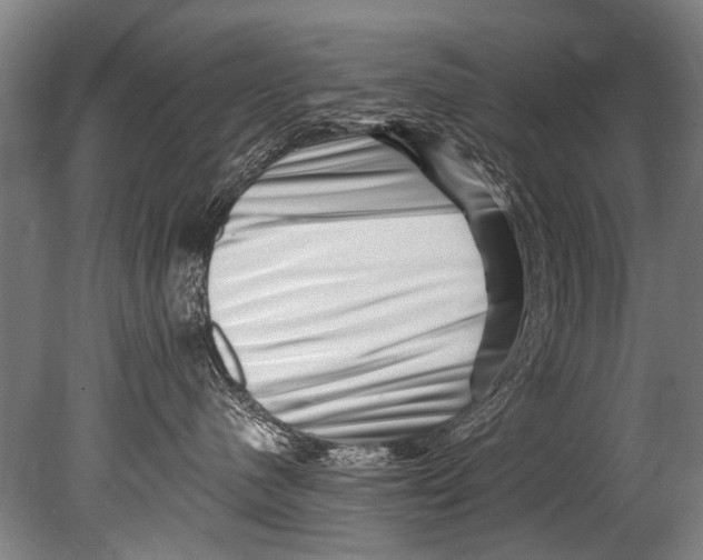 X0000080200480200612302342