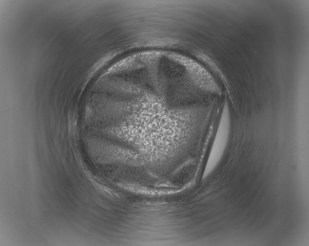 X0000080200483200612302341