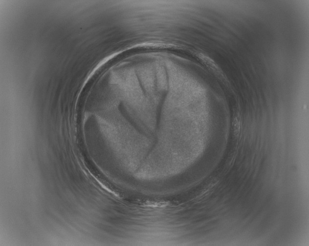 X0000080200484200612302341