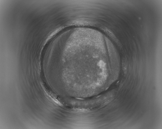 X0000080200488200612302341