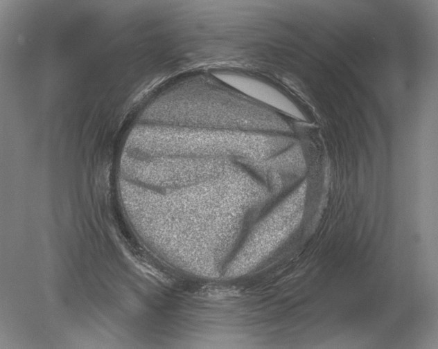 X0000080200491200612302341