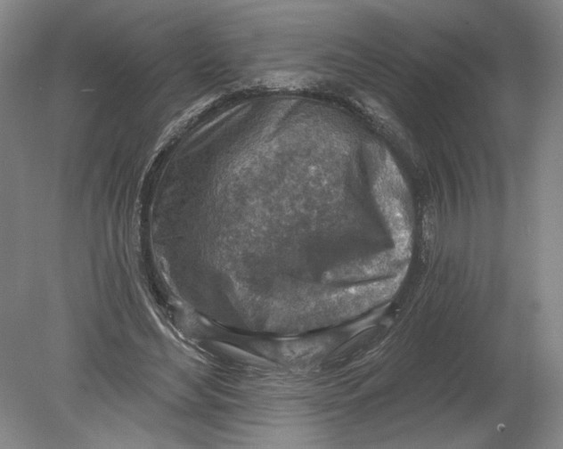 X0000080200492200612302341