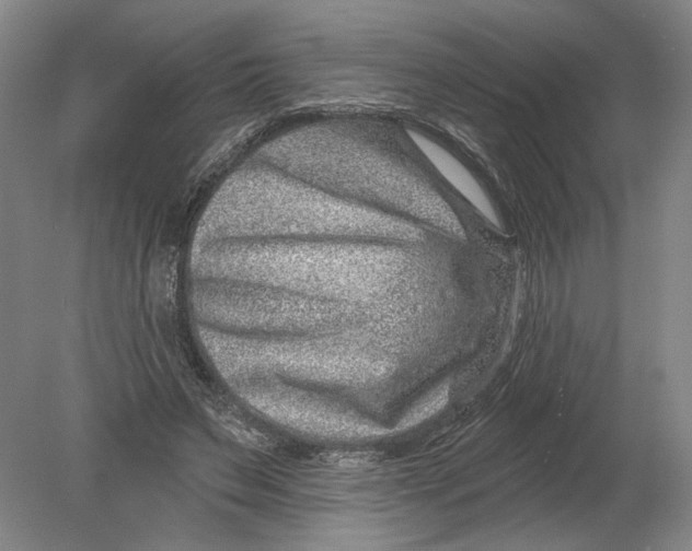 X0000080200495200612302341