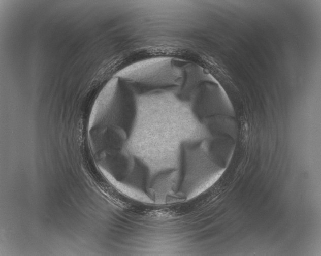 X0000080200498200612302341