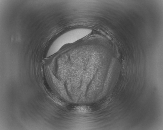 X0000080200499200612302341