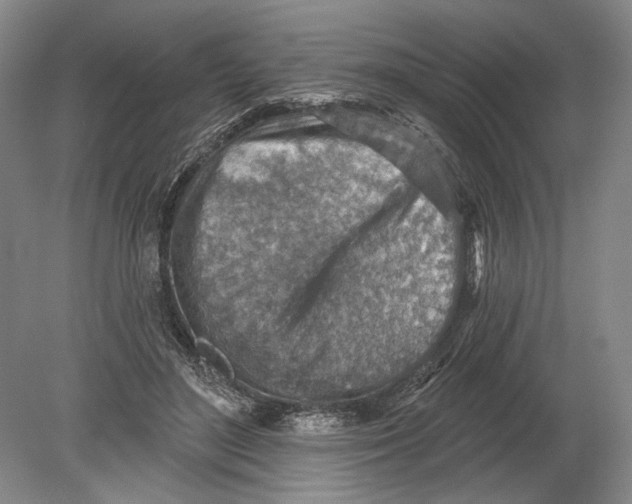 X0000080200500200612302341