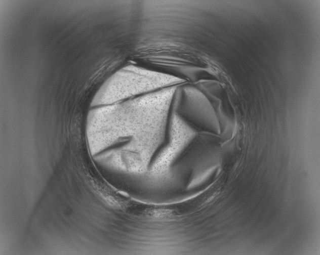 X0000080200501200612302341