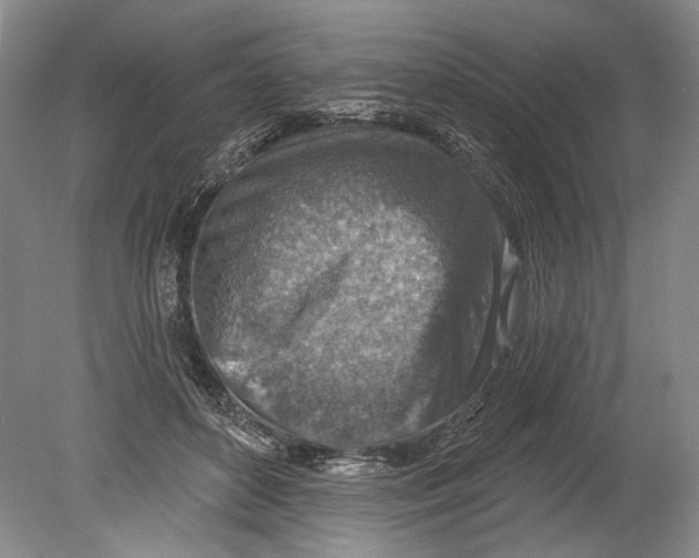 X0000080200504200612302341