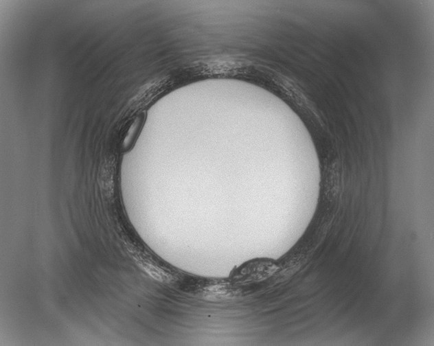 X0000080200505200612302341